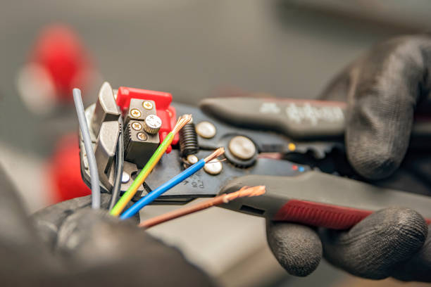 Best Electrician for Home Renovation  in Pingree Grove, IL