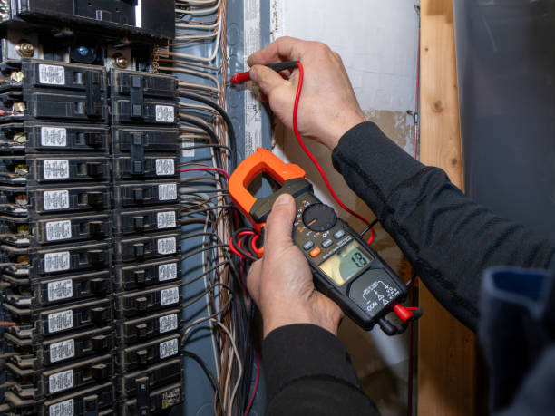 Best Ceiling Fan Installation Electrician  in Pingree Grove, IL
